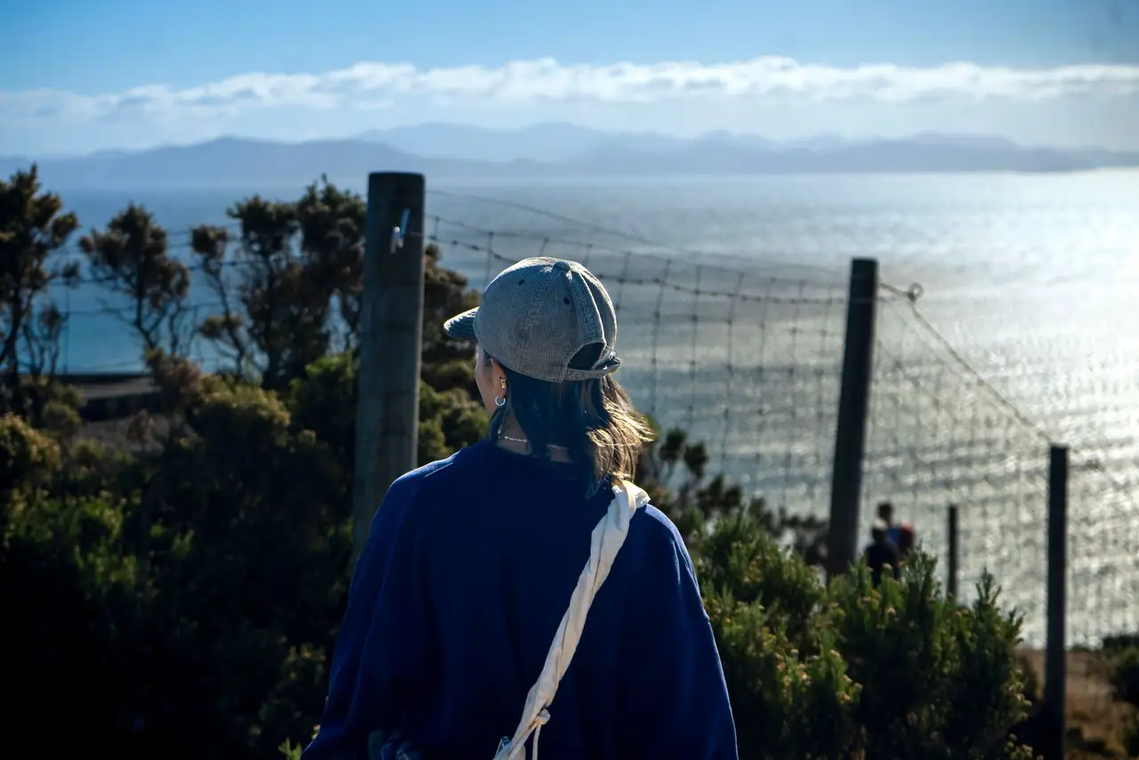 Vogeltown, Wellington