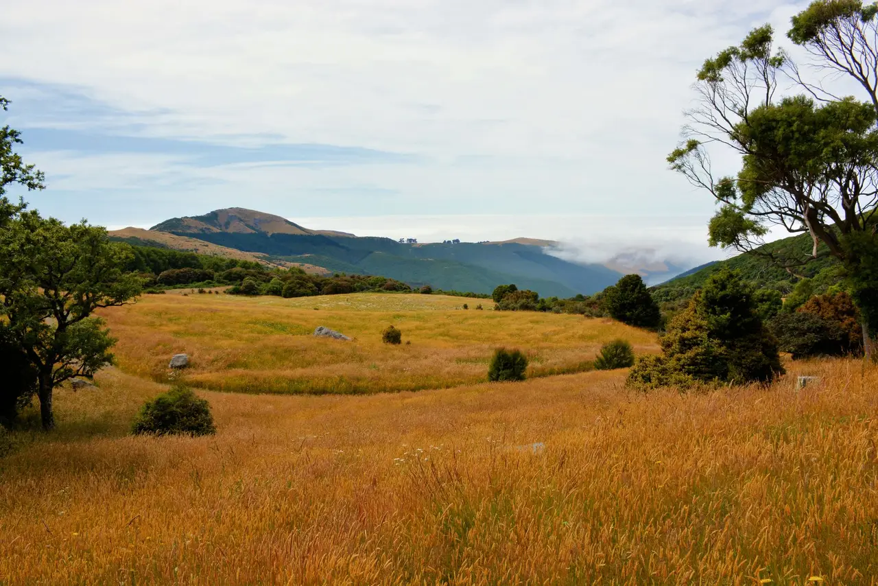 Wadestown, Wellington