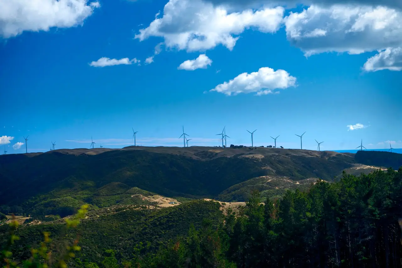 Woodridge, Wellington